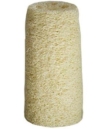 Natural Loofah Body Scrub (3 Pack, 5 inches) with Shower Gel Foamer Bottle - 1.7 oz - Buy Online on GoSupps.com
