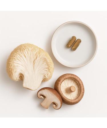 Mushroom Complex Blend for Nikken Kenzen Multi-Mushroom Supplement for Women & Men 1512 - Extract of Chaga Reishi Turkey Tail Lions Mane Supplement Capsules for Daily Wellness (60 Capsules) - Buy Online on GoSupps.com