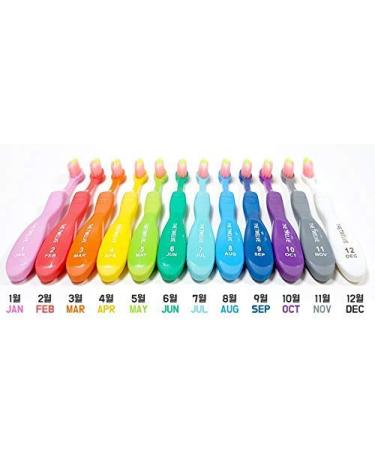 TheTwelve Kids Toothbrush 3-8 Years Rainbow Colors 12 Pack - Best Dental Care for Children - Buy Online on GoSupps.com