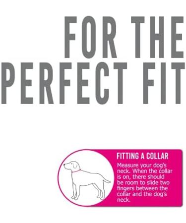Anol Heritage Nylon & Chain Check Collar Black - Sizes 2-4 (35-45cm) - Buy Online on GoSupps.com