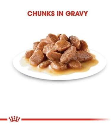 Royal Canin Sterilised Adult In Gravy Wet Cat Food 85g (Pack of 48) - Buy Online on GoSupps.com