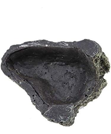 FTVOGUE Fish Basking Cave | Aquarium Turtle & Reptile Hide Habitat Decoration - International Shipping Available - Buy Online on GoSupps.com