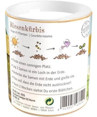 Chrestensen Garden Giant Pumpkin Seed Shaker for Kids | International Shipping Available - Buy Online on GoSupps.com