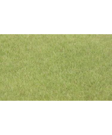 HEKI Grass flakes 75 g 56 mm