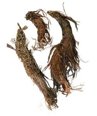 Herbneo Jatamasi (Spikenard) 200 Grm - Musk Root - Jatamansi - Nardostachys Jatamansi - Balchad -