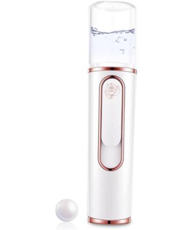 PLAFOPE 2pcs Portable Steamer Face Sprayer Facial Mist Sprayer Facial Mister Clippers Brush Cleaner White - Buy Online on GoSupps.com