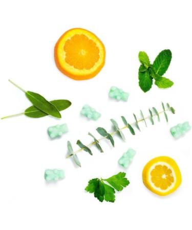 Happy Wax Best Sellers Collection - 6 oz Scented Natural Soy Wax Melts - Lemon Verbena, Eucalyptus Spearmint, Coastal Tide - Buy Online on GoSupps.com