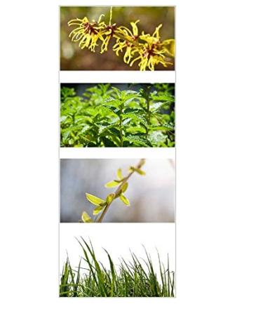 Savarnas Mantra Natural Blemish Treatment - Buy Online on GoSupps.com