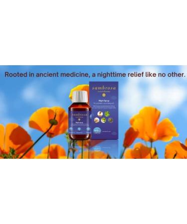 Sambrosa Sweet Dreams Night Syrup - Natural Non-Habit Forming Sleep Aid with Doxylamine, Honey, and Organic Herbs - 100ml - Buy Online on GoSupps.com