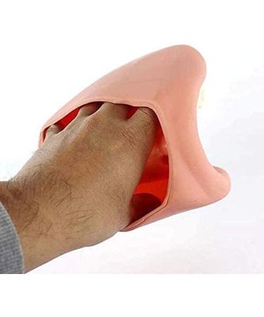 Dental Care Model for Kids | Tooth Brushing Practice & Teaching Aid - International Shipping - Buy Online on GoSupps.com