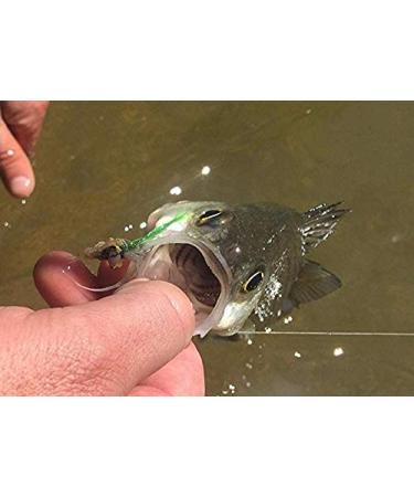 Piscifun Fly Fishing Tapered Leader 6 Pack - 9ft, 7.5ft, 12ft (0X-7X) with Loop for Precise Casting - Buy Online on GoSupps.com