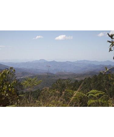 Ethiopian Yirgacheffe Single Origin Micro Lot - Buy Online on GoSupps.com