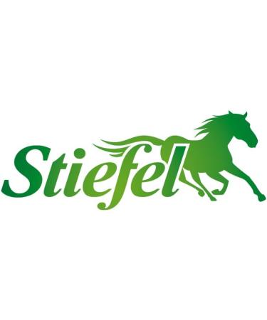 Stiefel 2 x 1 Liter Flaxseed Oil - Horse Food Supplement - Can Have a Positive Effect on Skin and Coat and Can Contribute to Healthy Digestion - Buy Online on GoSupps.com