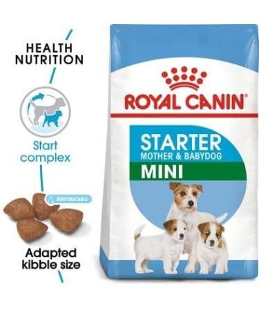 Royal Canin Mini Starter Mother & Babydog Dry Food 4kg 3 kg (Pack of 1) - Buy Online on GoSupps.com