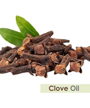 Clove Oil (Syzygium aromaticum) 100% Pure & Natural Undiluted Uncut Essential Premium Aromatherapy Oil - 15ml Clove 15 ml (Pack of 1) - Buy Online on GoSupps.com