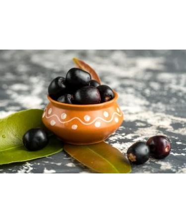 Jamun Seeds Powder 200g Organic non GMO Indian blackberry powder - Buy Online on GoSupps.com