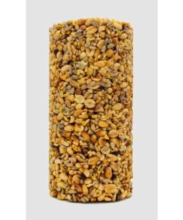 Friendly Cylinder Log_AB