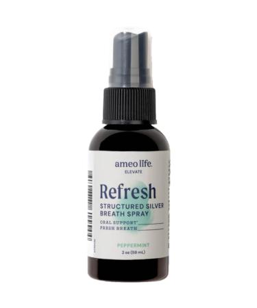 Ameo Life Natural Mint Mouth Spray with 10 ppm Colloidal Silver - Natural Breath Freshener & Dry Mouth Remedy with Xylitol - Portable Oral Care - Bad Breath Spray & Dry Mouth Relief - 2 oz