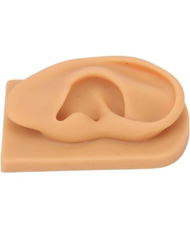Flexible Silicone Right Ear Model for Hearing Aid Demonstration - Waterproof & Ideal for Science Education - Buy Online on GoSupps.com