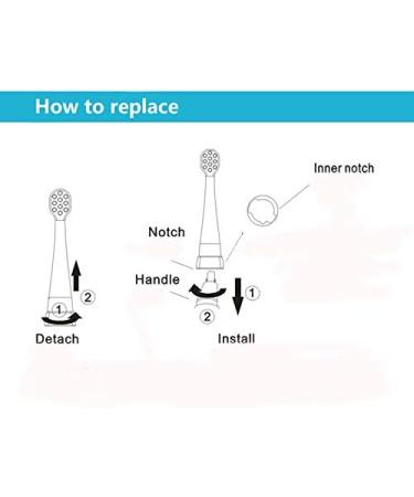 SEAGO Toothbrush Replacement Heads - 6 Pack SG977 SG513 - Compatible with SEAGO Electric Toothbrushes for Kids - Buy Online on GoSupps.com