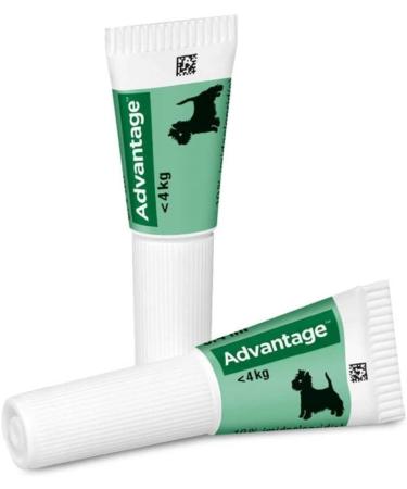 Elanco Advantage Spot-on 40 for Very Small Dogs - Quick Flea Control & Protection Up to 4 Weeks | 4 Pipets (0.4 ml) - Buy Online on GoSupps.com