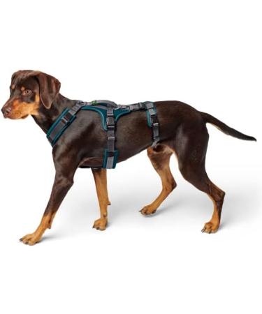 Buy Safety Harness Maldon Petrol/Grey - Size ML | International Shipping Available - Buy Online on GoSupps.com