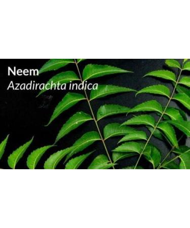Sorion Cream 50G - Natural Eczema Psoriasis Treatment - Skin Care with Coconut Oil Neem Turmeric Gentle Moisturiser for Itch Relief Formula with Vitamin C Vitamin A Vitamin E to Renew Beauty - Buy Online on GoSupps.com