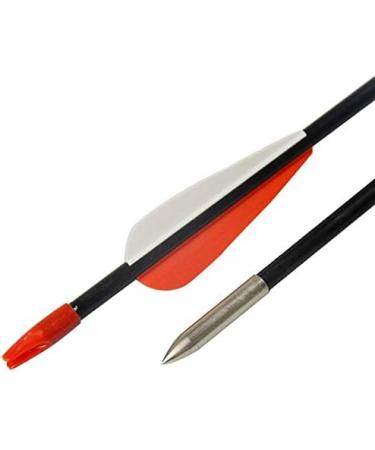 JJZS 12 Pack 100 Grain Glue-On Field Points for Target Aluminum and Wood Arrows - Buy Online on GoSupps.com