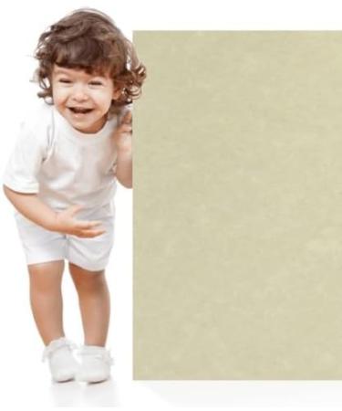 200 Natural Parchment 65lb Cover Paper Sheets 8.5x14 | Legal/Menu Size Cardstock Weight Colored Sheets - Old Parchment Semblance - Buy Online on GoSupps.com