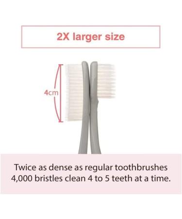 Samjung Wangta Soft Toothbrush 6 Pack (Charcoal) - Best Manual Toothbrush for Sensitive Gums and Teeth - Buy Online on GoSupps.com