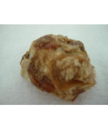 Petz Gourmet Tartar Buster Dog Bones 24ct - Buy Online on GoSupps.com