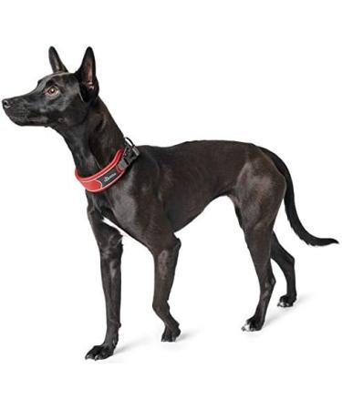 HUNTER DIVO Nylon Dog Collar - Medium Red/Grey | Premium Quality Pet Accessory - Buy Online on GoSupps.com