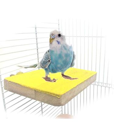 Colorful Bird Perch Stand Platform Natural Wood Playground Paw Grinding Clean for Pet Parrot Budgies Parakeet Cockatiels Conure Lovebirds Rat Mouse Cage Accessories Exercise Toys Random