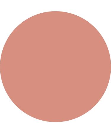  WYCON cosmetics WYCON Cosmetic Everlasting 24 Hour Automatic Lip Pencil with Soft Texture Precise Application and Intense Colour Extra Durability 04 Dusty Butter - Buy Online on GoSupps.com