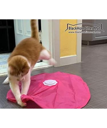 Blackhole Catch The Tail Cat Toy Interactive Play-Catch Electric Rotating Feather Motion Automatic Best Undercover Mouse Under Blanket Cat Toy - Buy Online on GoSupps.com