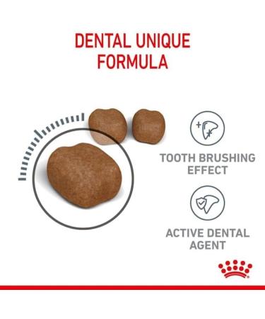 Royal Canin Dental Care Adult Dry Cat Food 3 x 400g - Buy Online on GoSupps.com
