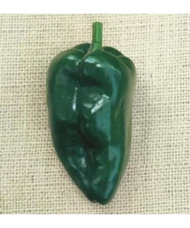 15 Semi di Hot Pepper PEP125 Poblano