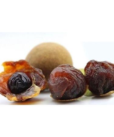 WENXUANSU:4 Pound (1816 grams) Dried Longan whole fruit Grade A from Guangdong