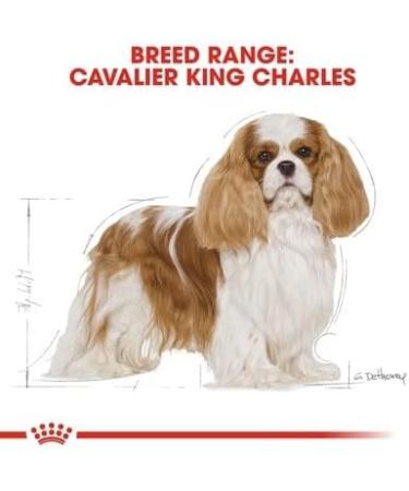 Royal Canin Cavalier King Charles Adult Dry Dog Food 7.5kg - Buy Online on GoSupps.com