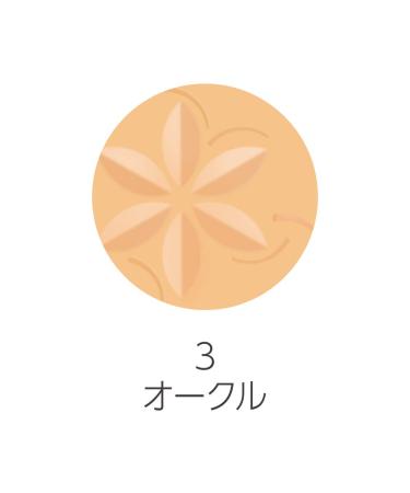 Cezanne Ultra Cover UV Pact Refill - Lightweight Foundation in 3 Ocher | International Shipping Available - Buy Online on GoSupps.com