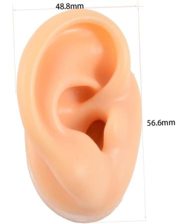 Human Ear Model Earrings Display Set - 4pcs Pierced Ear Piercing Jewelry Simulator for Studs - Assorted Colors - 5.66x4.88x5cm - Buy Online on GoSupps.com