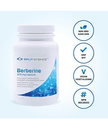 Split Science Berberine 500 mg per capsule| 90 Easy to Swallow Capsules | Non-GMO Gluten-Free Vegan | Suppports Glucose Metabolism Healthy Lipid Levels & Gut Health 1 - Buy Online on GoSupps.com