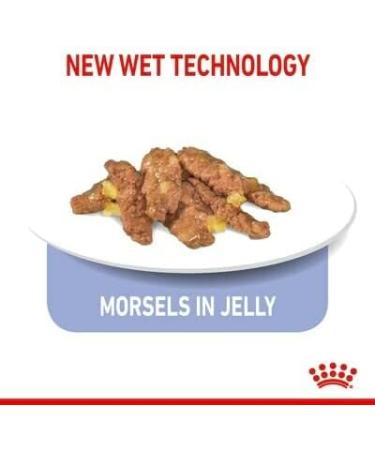 Royal Canin Indoor Sterilised in Jelly Adult Wet Cat Food 85g (Pack of 48) - Buy Online on GoSupps.com