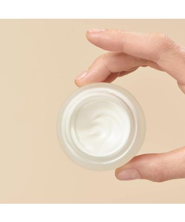 Yves Rocher Antiageglobal corrective pampering cream at night antiwrinkle facial care for the night 1 glass jar of 50 ml - Buy Online on GoSupps.com