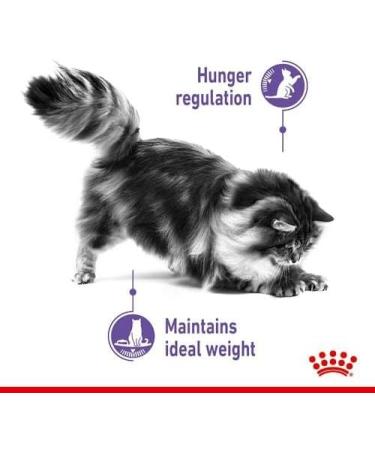ROYAL CANIN Appetite Control Care | Pack of 3 | 3 x 400 g | Dry Food for Adult Cats | Recommended to Control Begging Behavior | Also for Castrated Cats - Buy Online on GoSupps.com