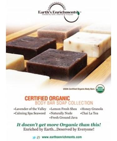Buy EARTHS ENRICHMENTS Chai La Tea Soap Bar | 4.5 OZ | Natural & Organic | International Shipping Available - Buy Online on GoSupps.com