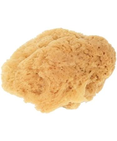 Croll & Denecke Natural Sponge G5 - 19cm | Eco-Friendly Soft & Durable | International Shipping Available - Buy Online on GoSupps.com