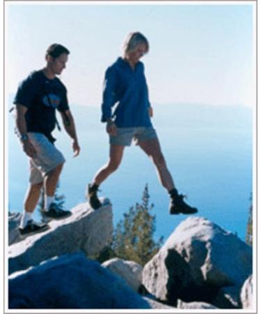 Pedag Viva Mini Orthotic with Arch Support Metatarsal Heel Pad - Tan Leather - Size US W9/EU39 - Buy Online on GoSupps.com