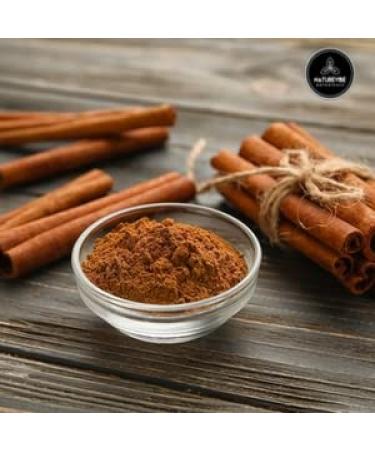 Naturevibe Botanicals Organic Cinnamon Cassia Powder 1lb - Non-GMO, Gluten Free, Adds Flavor | 16oz - Buy Online on GoSupps.com