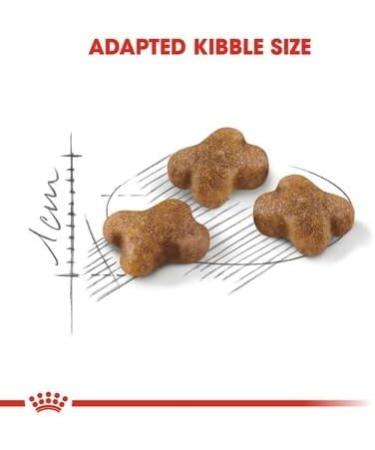 Royal Canin Kitten Dry Cat Food 2kg - Premium Nutrition for Growing Cats - Buy Online on GoSupps.com
